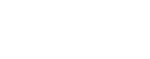 brainz logo