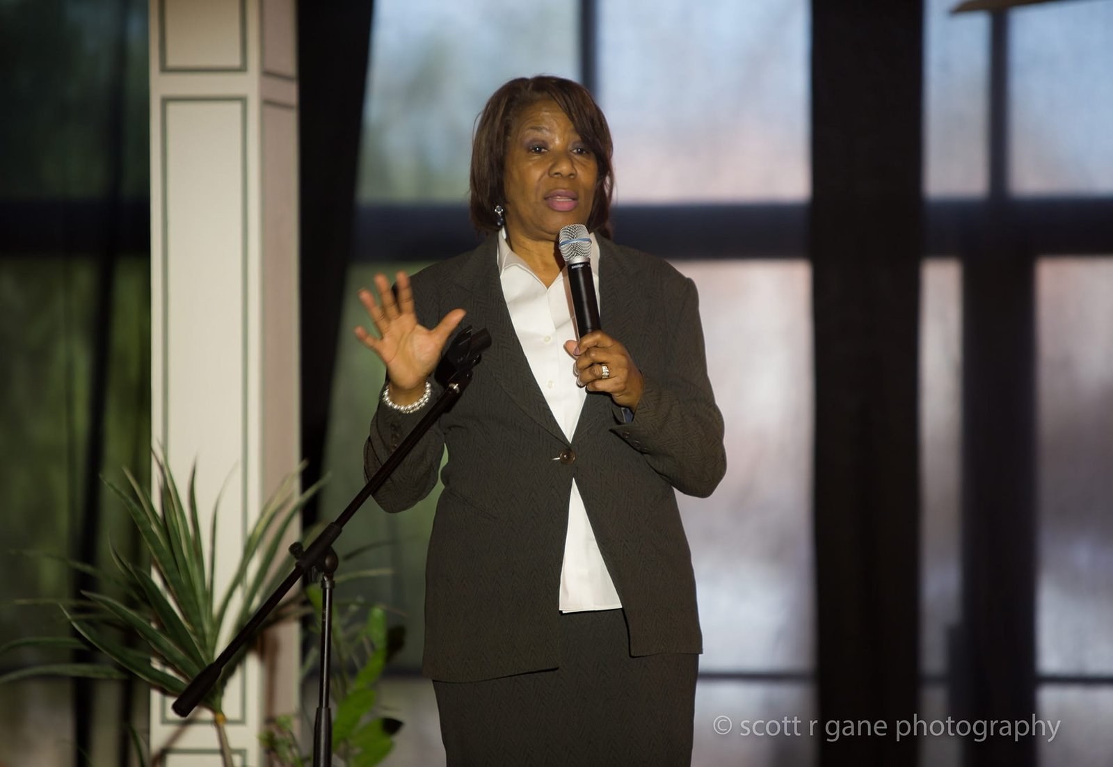 Image gallery marquee